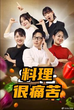 料理很痛苦在线观看
