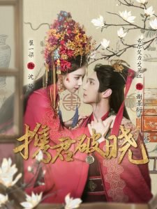 携君破晓在线观看