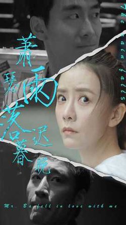 萧瑟雨落迟暮晚高清播放