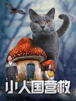 小人国营救高清播放