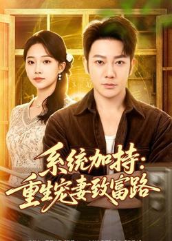 系统加持：重生宠妻致富路在线观看