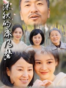 深秋的康乃馨高清播放