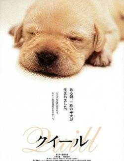 导盲犬小Q【影视解说】在线观看