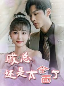 戚总还是太全面了(戚总今天追到夫人了么)在线观看