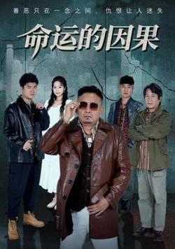 命运的因果在线观看