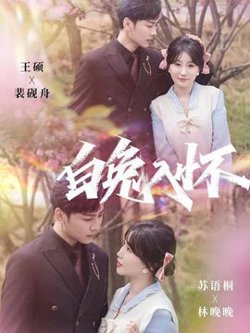 白兔入怀高清播放