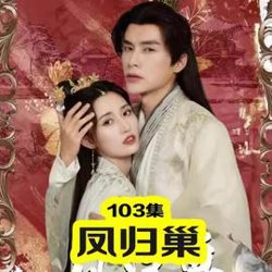 凤归巢在线观看