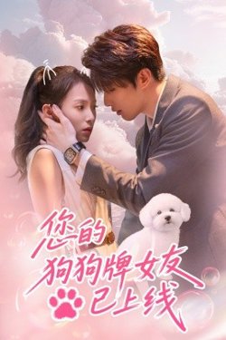 您的狗狗牌女友已上线高清播放
