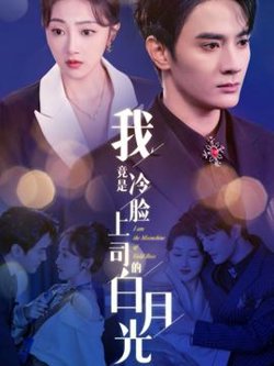 我竟是冷脸上司的白月光高清播放