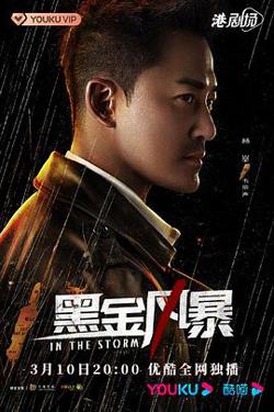 黑金风暴粤语高清播放