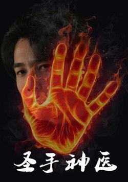 圣手神医在线观看