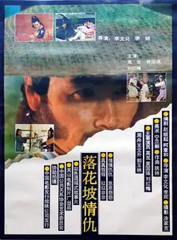 落花坡情仇[电影解说]高清播放