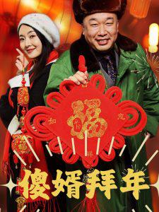 傻婿拜年高清播放