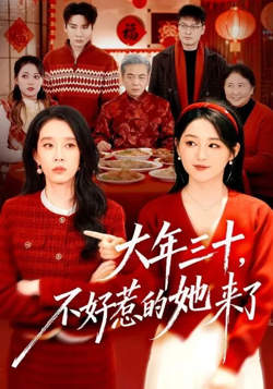 大年三十，不好惹的她来了高清播放