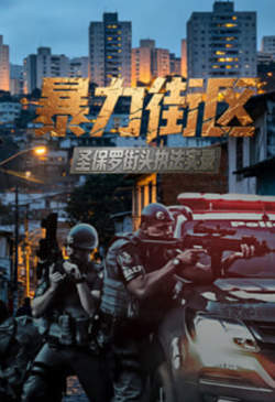 暴力街区：圣保罗街头执法实录