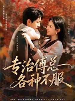 专治傅总各种不服在线观看
