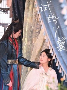 试婚丫鬟高清播放