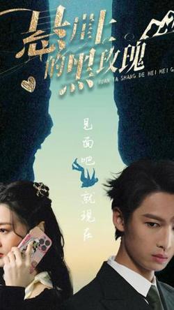 悬崖上的黑玫瑰101集高清播放