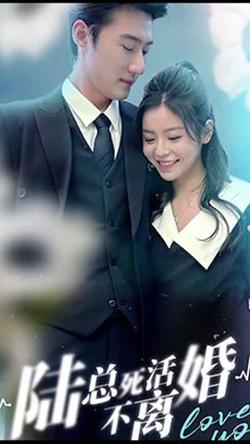 陆总死活不离婚在线观看