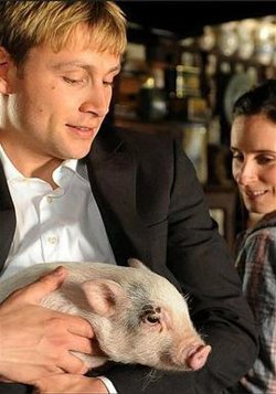绝对保险在线观看