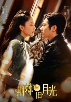 荆棘与旧月光高清播放