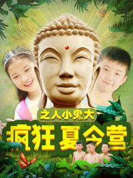 疯狂夏令营之人小鬼大高清播放