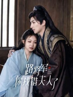 路将军你找错夫人了在线观看