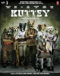 Kuttey高清播放