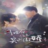 闪婚后，任总突然傲娇了高清播放