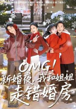 新婚夜，我和姐姐走错婚房在线观看