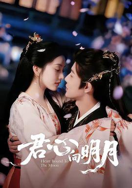 君心向明月在线观看