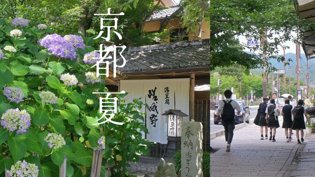 京都盛夏幻梦：岚山漫游记免费观看在线高清电视剧高清播放