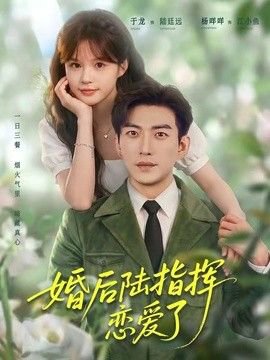 婚后陆指挥沦陷了在线观看