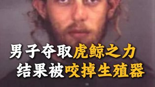 夺取虎鲸之力反遭报应，生殖器被咬掉！高清在线视频免费观看电视剧