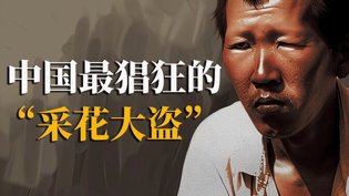 10年380起强奸案，中国第一色魔落网免费观看在线观看高清美剧在线观看