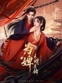 为婢之明月传高清播放