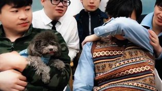 叔,你感情戏演得真拿手吗?欧美mv与日韩mv的对比?
