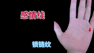 手相揭秘：感情线中的锁链纹在线播放电影