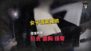 酒驾女被搜身，局长力挺女婿剧情反转成全在线看高清完整版免费在线观看