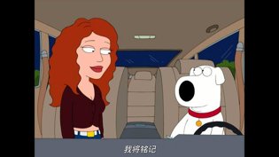 狗子感情戏爆棚，比人还会演在线观看免费完整版的电视剧