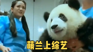 萌兰从小醋王变直男，这转变绝了成全在线看高清完整版免费