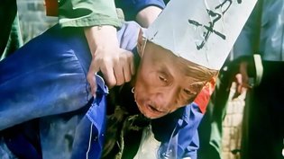 向共产党告状，而非告共产党的状甜宠短剧免费观看全集高清播放