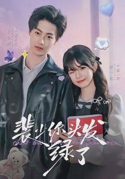 裴少你头发绿了在线观看
