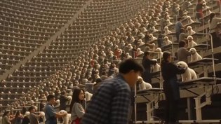 十万人宿舍求生，红天鹅韩剧高能来袭日韩电影电视剧在线播放在线观看