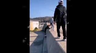 抖音日本小姐姐合集，颜值炸裂原罪 电影在线观看