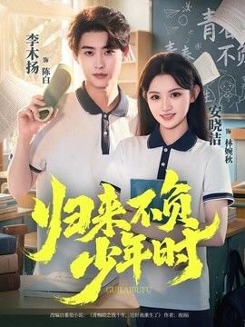 归来不负少年时在线观看