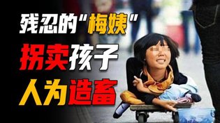 孩子被拐梅姨落网？揭秘造畜运毒黑幕《外出》在线观看
