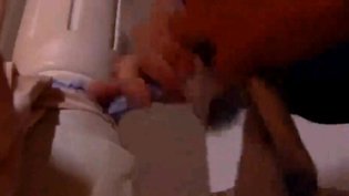 为当明星,她甘愿献身导演女镖客1免费高清在线观看
