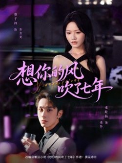 想你的风吹了七年高清播放