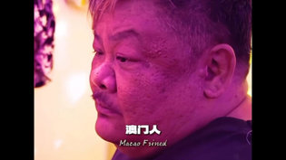肥雪叫鸡别谈感情，笑翻全场！无人区玫瑰高清mv片